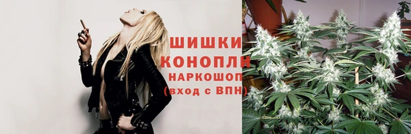 соль ск Каменка