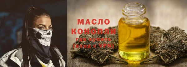 соль ск Каменка