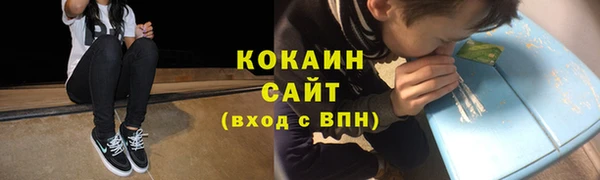 соль ск Каменка